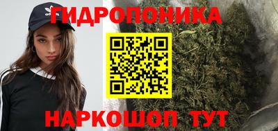 PSILOCYBIN Новодвинск