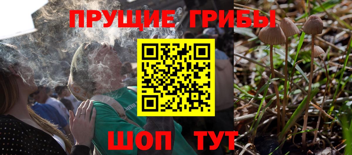 Галлюциногенные грибы ЛСД Саратов