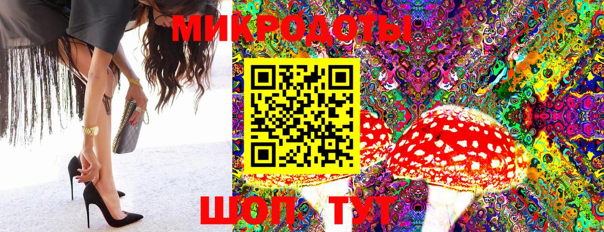 Саратов  что такое наркотик  Вход с VPN  Галлюциногенные грибы GOLDEN TEACHER 